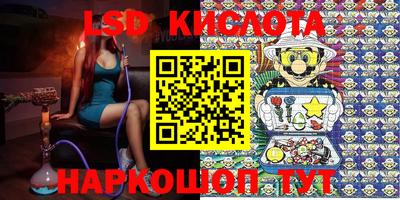 стаф Жуковский