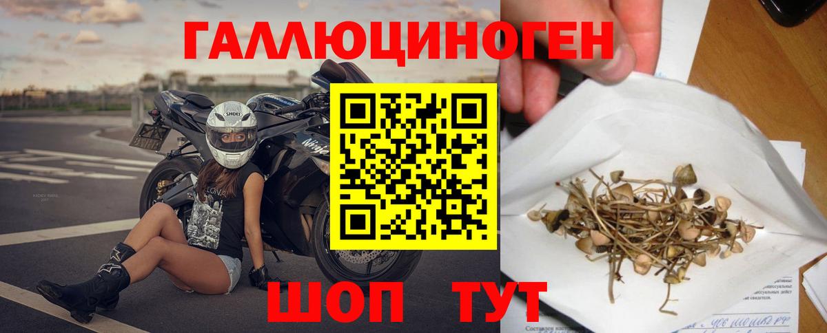Псилоцибиновые грибы мухоморы Ессентуки