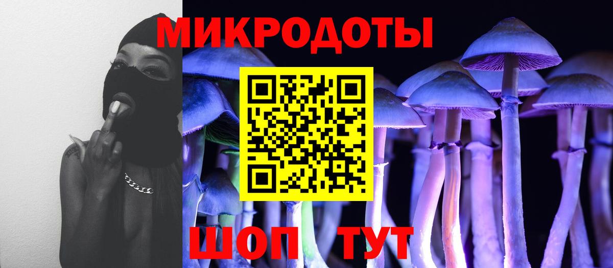 Галлюциногенные грибы Psilocybe  Вход с VPN  Галлюциногенные грибы мухоморы  наркотики  Ессентуки 